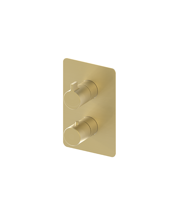 ARTURO SHOWER PLATE RECTANGULAR LEVER HANDLE - BRUSHED BRASS